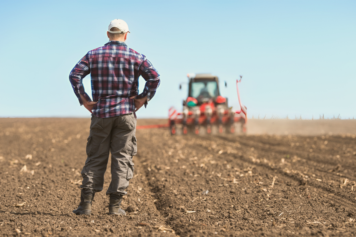 Farmer looking over equipment in the field, considering year-end planning decisions.